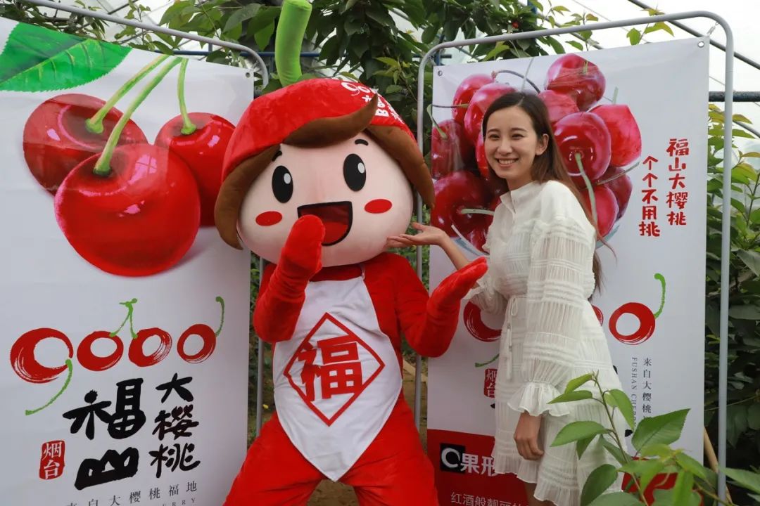 贾枭:樱桃产业要“明大势”“知大市”“干大事”