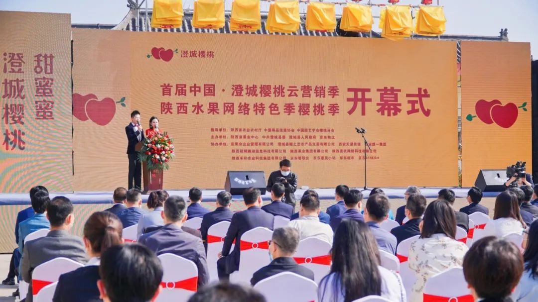 贾枭:樱桃产业要“明大势”“知大市”“干大事”
