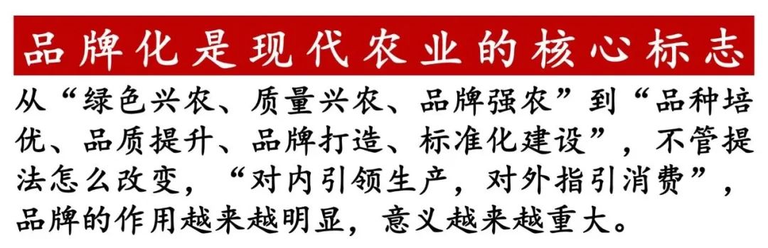 贾枭:樱桃产业要“明大势”“知大市”“干大事”