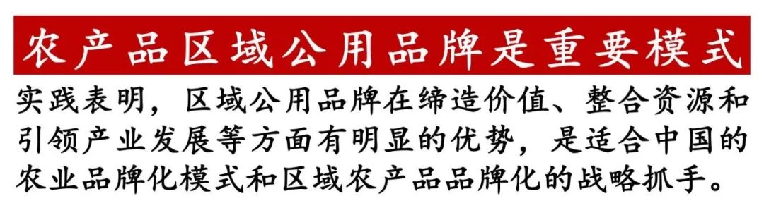 贾枭:樱桃产业要“明大势”“知大市”“干大事”