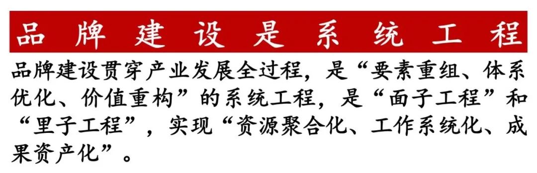 贾枭:樱桃产业要“明大势”“知大市”“干大事”