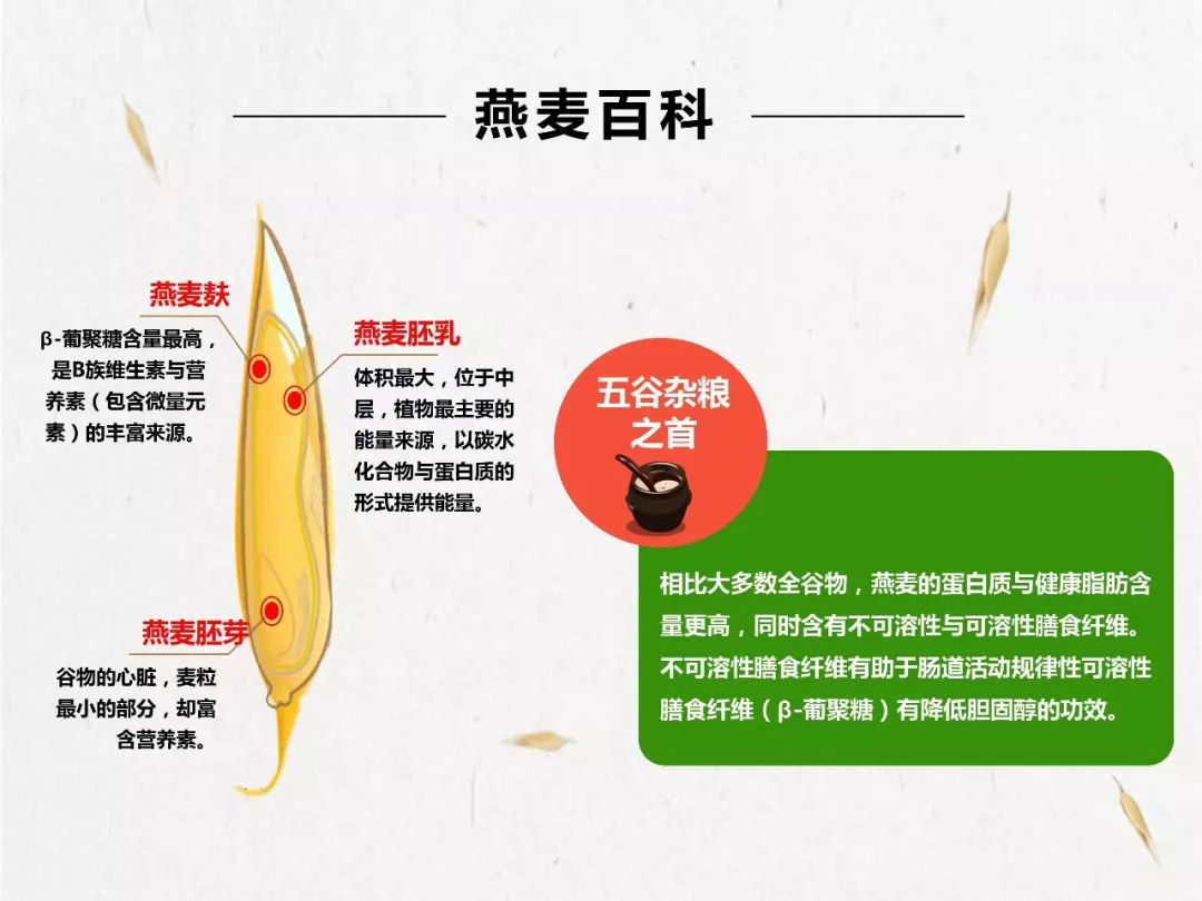7年烧掉3个亿,只为种出一碗健康早餐