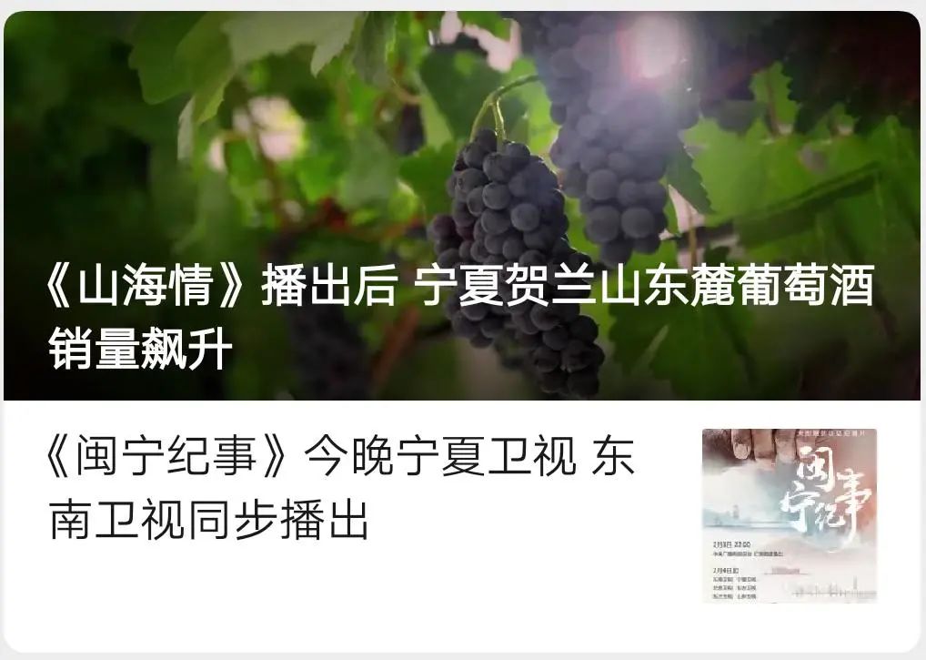 火了!《山海情》播出后 宁夏贺兰山东麓葡萄酒销量飙升 | 卖酒狼关注