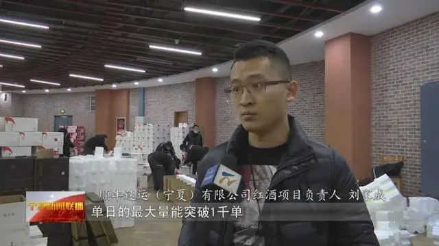 火了!《山海情》播出后 宁夏贺兰山东麓葡萄酒销量飙升 | 卖酒狼关注