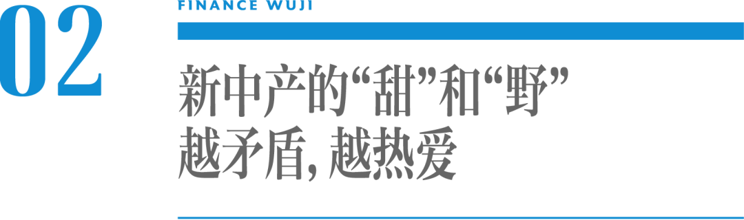 盲盒、社区团购、直播带货…2020的热词，藏着新中产消费的“甜野”