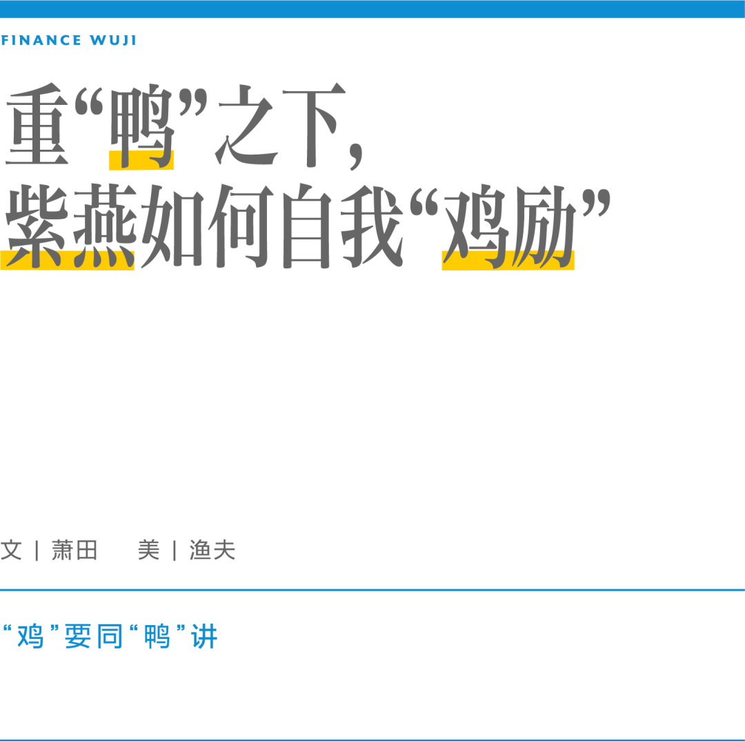 重“鸭”之下,紫燕如何自我“鸡励”
