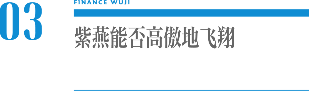 重“鸭”之下,紫燕如何自我“鸡励”