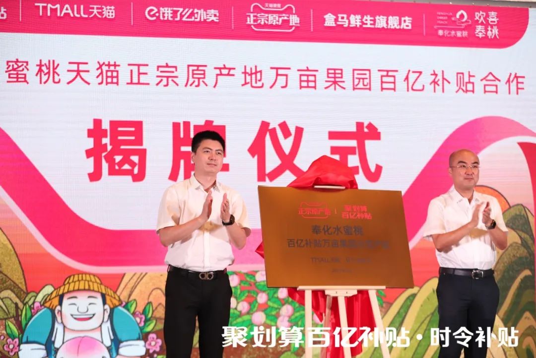 “水蜜桃自由”背后，“百亿补贴”进入3.0时代