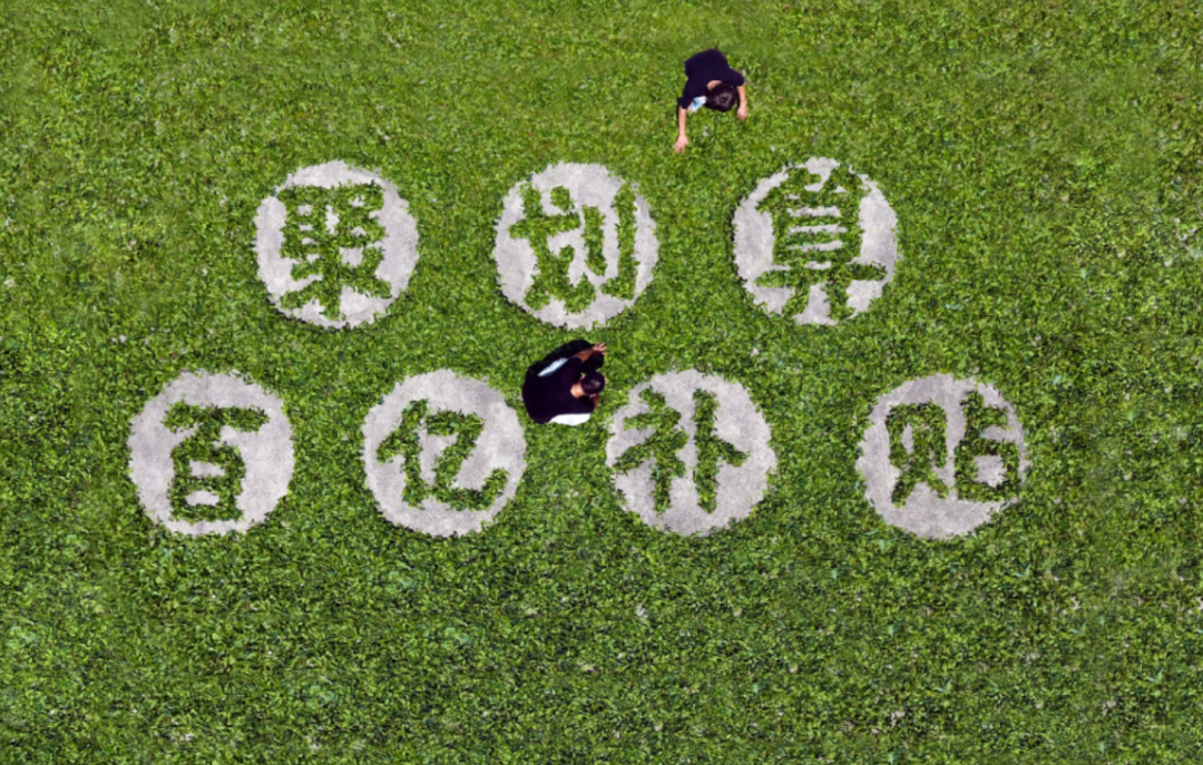 “水蜜桃自由”背后，“百亿补贴”进入3.0时代