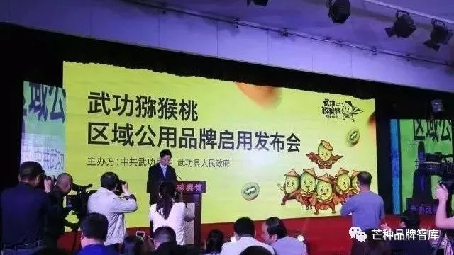 品牌回访丨武功猕猴桃:品牌电商启示录