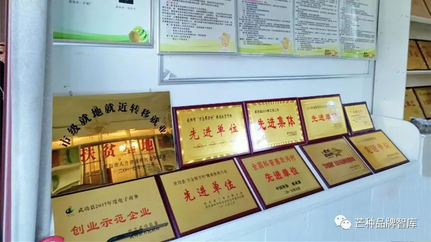 品牌回访丨武功猕猴桃:品牌电商启示录