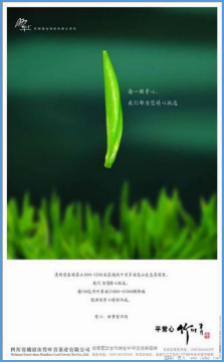 胡晓云：品牌战略成就品牌经济