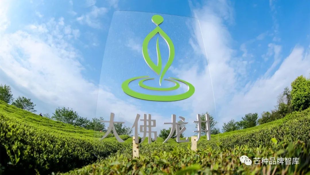 一叶创意 | 大佛龙井:跟西湖龙井的不同点在哪儿?