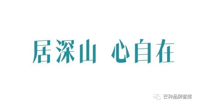一叶创意 | 大佛龙井:跟西湖龙井的不同点在哪儿?
