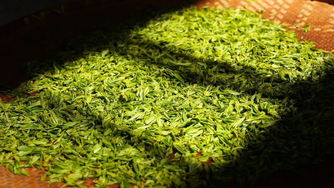 一叶创意 | 千岛湖茶：茶品牌如何借助农旅融合出新招？
