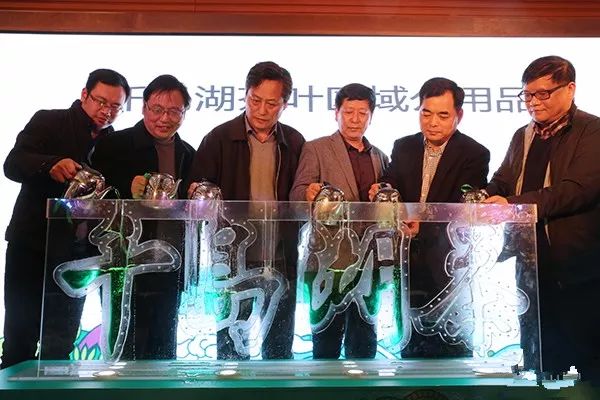 一叶创意 | 千岛湖茶:茶品牌如何借助农旅融合出新招?