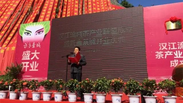 一叶创意 | 武当道茶:怎么打造文化茶品牌?