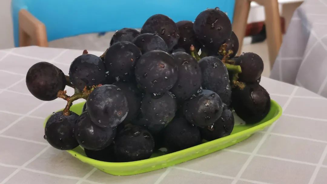 芒种行记 | 在西安高新区,遇见都市农业的无限未来