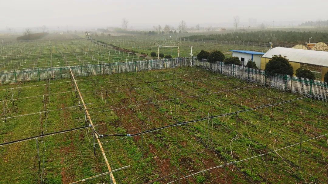 芒种行记 | 在西安高新区,遇见都市农业的无限未来