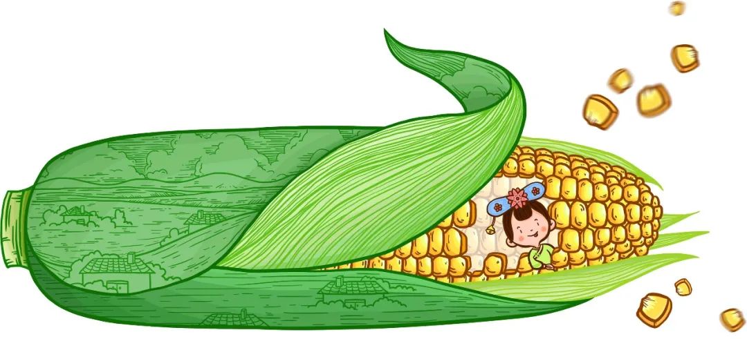 专家观点 | 粮食类区域公用品牌打造的“芒种心得”