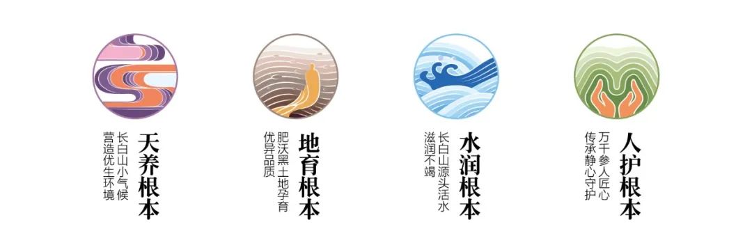 芒种追踪丨长白山人参:地标品牌的电商之路初探