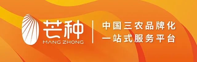 芒种行记丨佳木斯：中国最早迎接太阳的地方