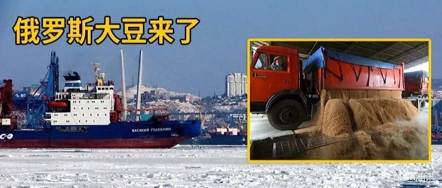 0.jpg 盘点 | 2020年食用油行业十大关键词
