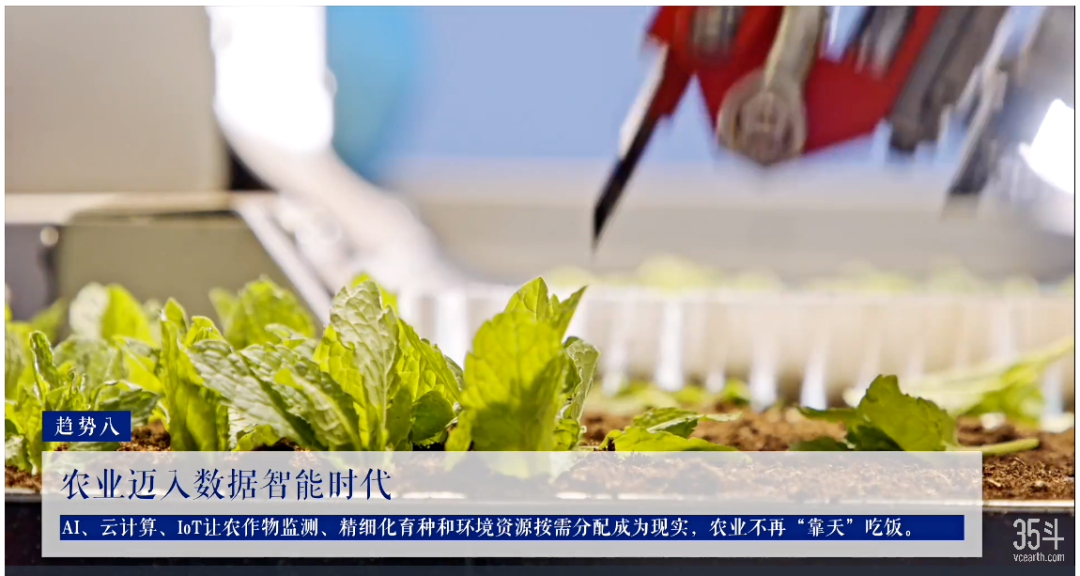 阿里深耕大农业，马云的“亩产千金计划”实现了吗？