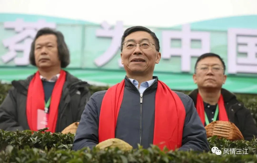 为中国叫醒春天！2021三江早春茶开采节盛大召开
