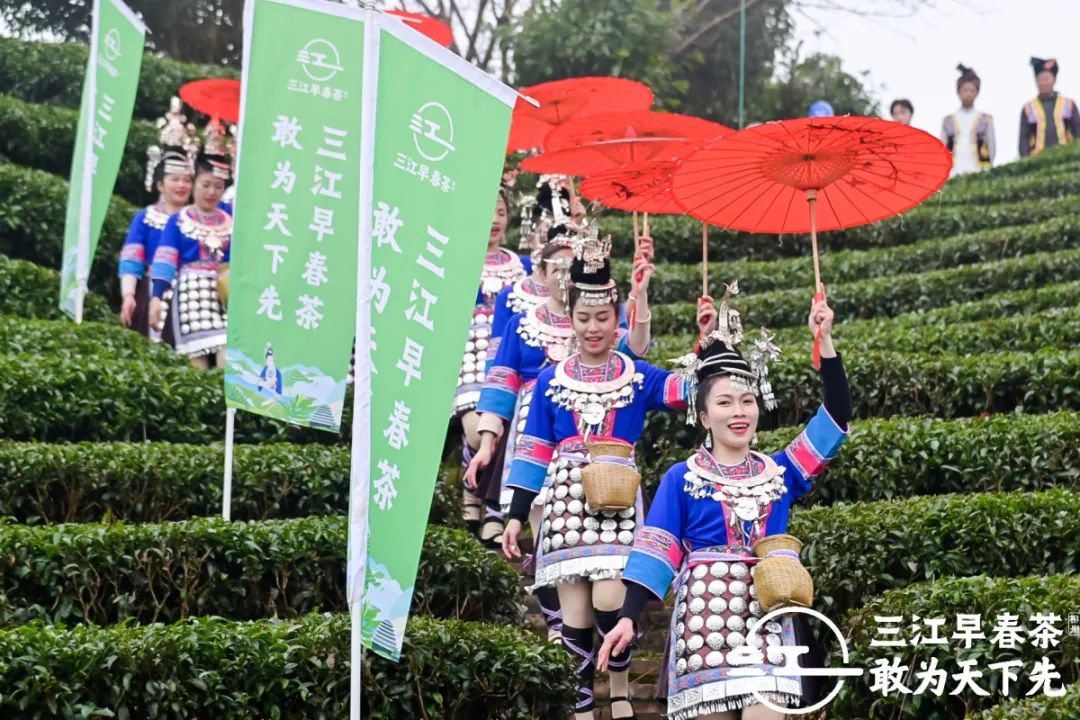 为中国叫醒春天！2021三江早春茶开采节盛大召开