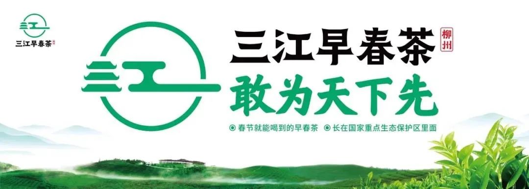 为中国叫醒春天！2021三江早春茶开采节盛大召开