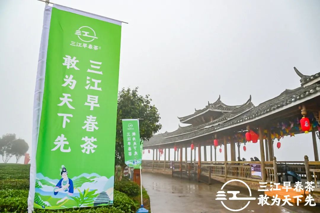 为中国叫醒春天！2021三江早春茶开采节盛大召开