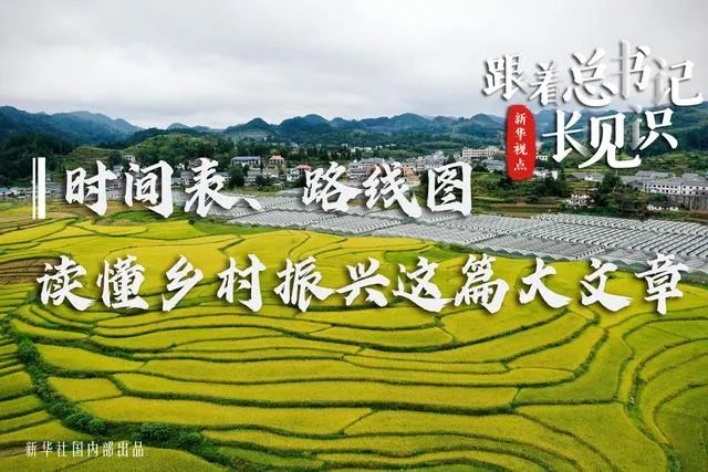 跟着总书记长见识|时间表、路线图,读懂乡村振兴这篇大文章