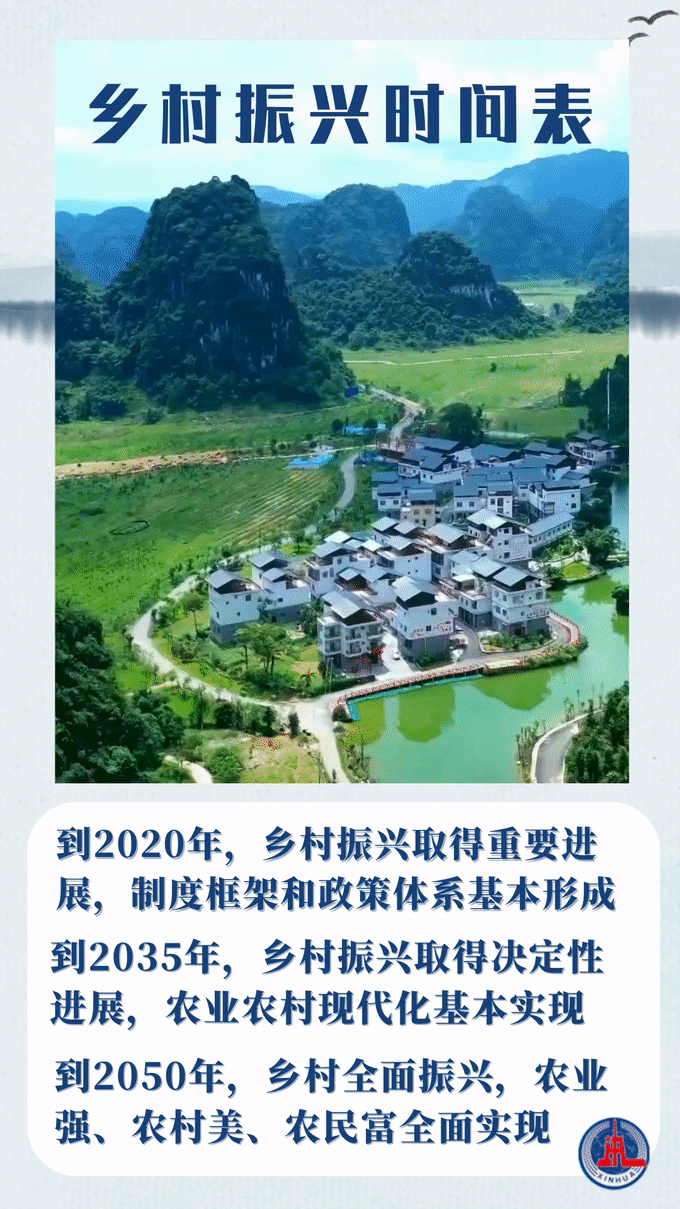 跟着总书记长见识|时间表、路线图,读懂乡村振兴这篇大文章