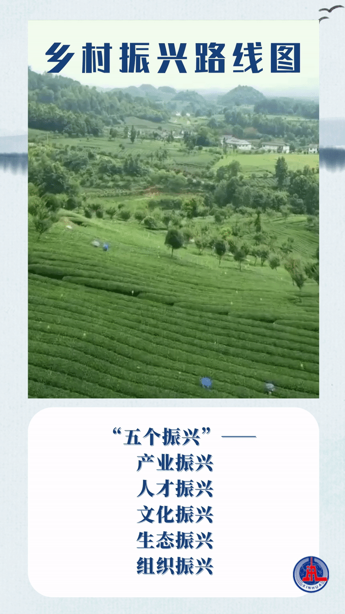 跟着总书记长见识|时间表、路线图,读懂乡村振兴这篇大文章
