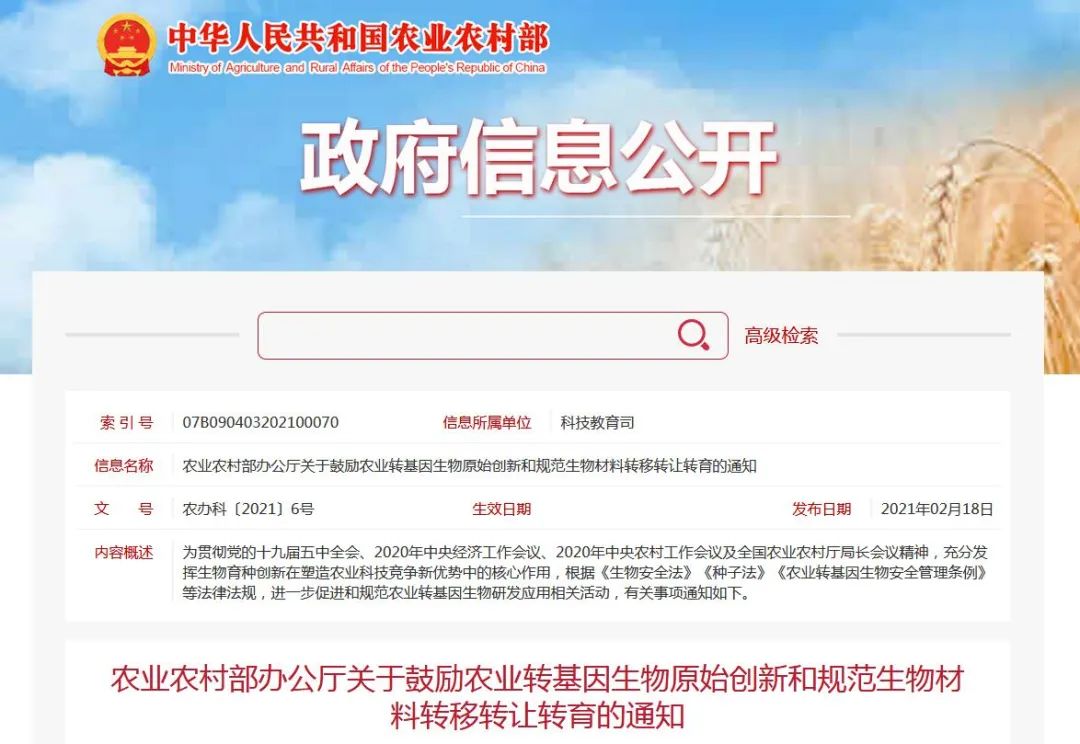 农业农村部发文鼓励转基因创新,生物育种迎来新机遇!