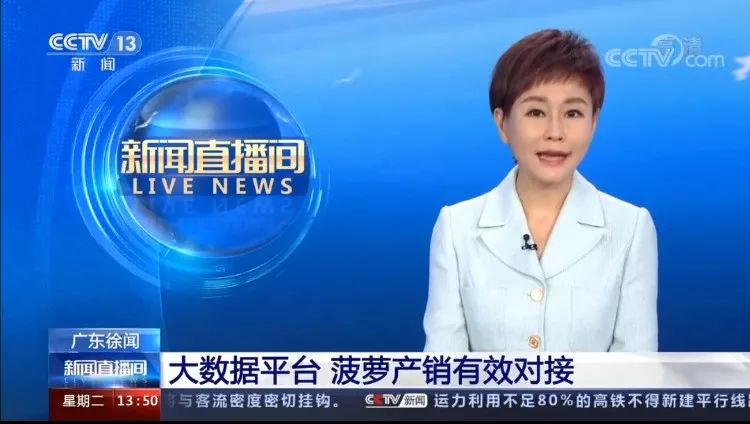 登上央视、身价涨10倍、霸屏热搜……广东徐闻菠萝凭啥?