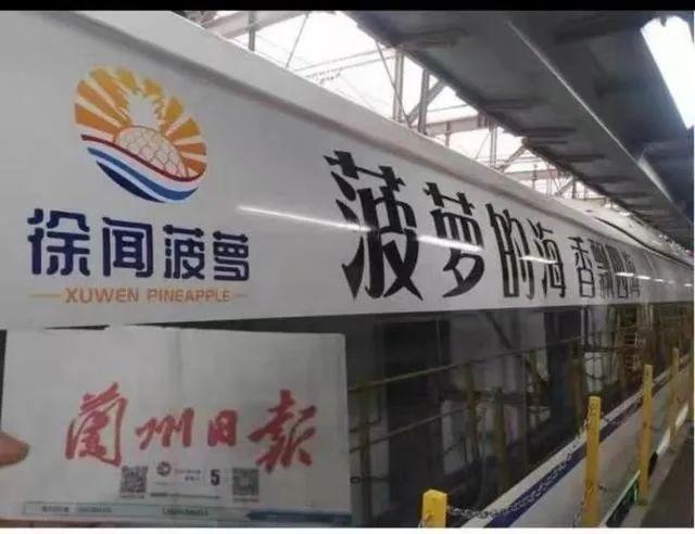 登上央视、身价涨10倍、霸屏热搜……广东徐闻菠萝凭啥?