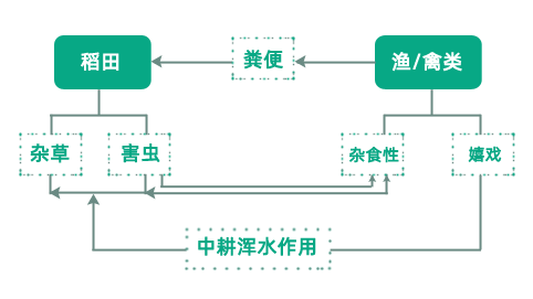 小小稻田创意满满！休闲农业升级可以这么酷！