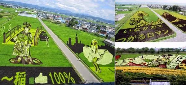 小小稻田创意满满！休闲农业升级可以这么酷！