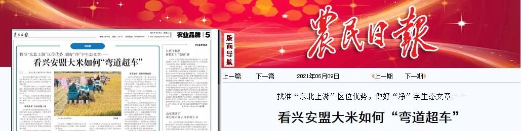 一年增收1.5亿!兴安盟大米如何“弯道超车”?