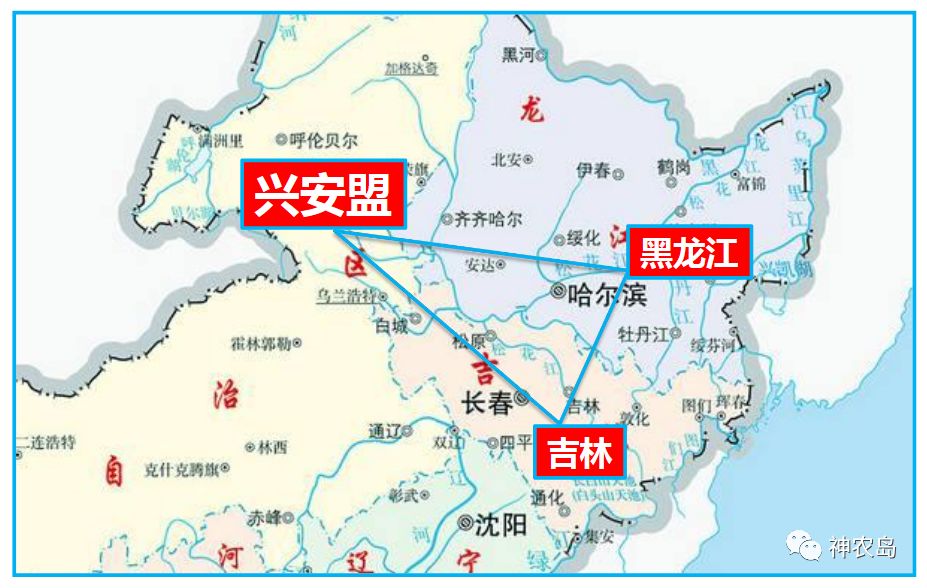 一年增收1.5亿!兴安盟大米如何“弯道超车”?