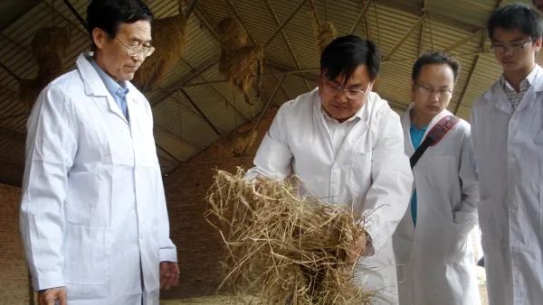 李胜利:牛场里走出来的“牛”教授