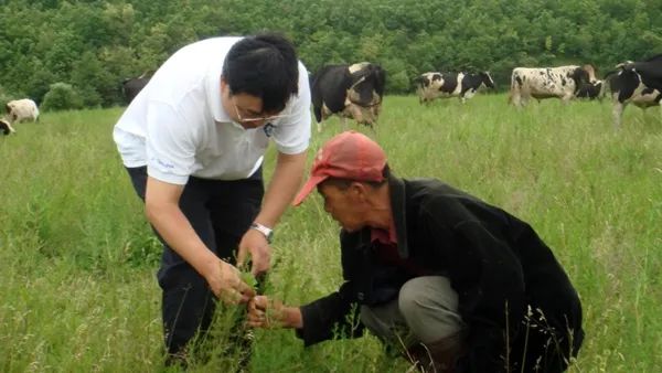 李胜利:牛场里走出来的“牛”教授