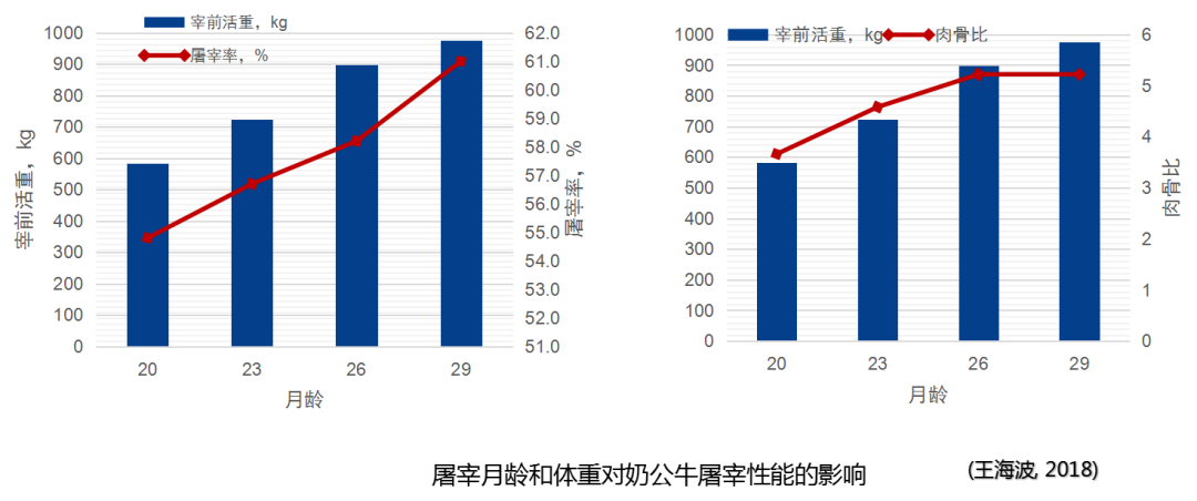 苏华维:奶公犊饲养与模式实践