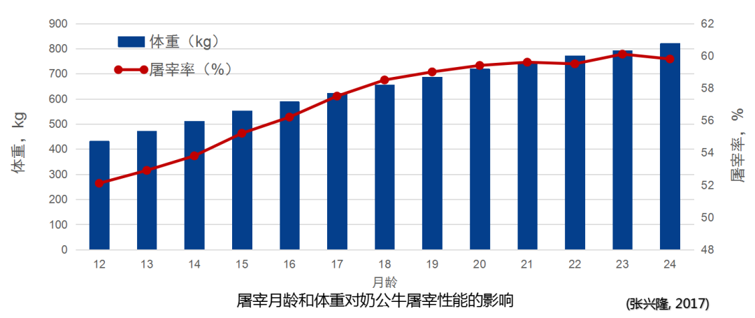 苏华维:奶公犊饲养与模式实践