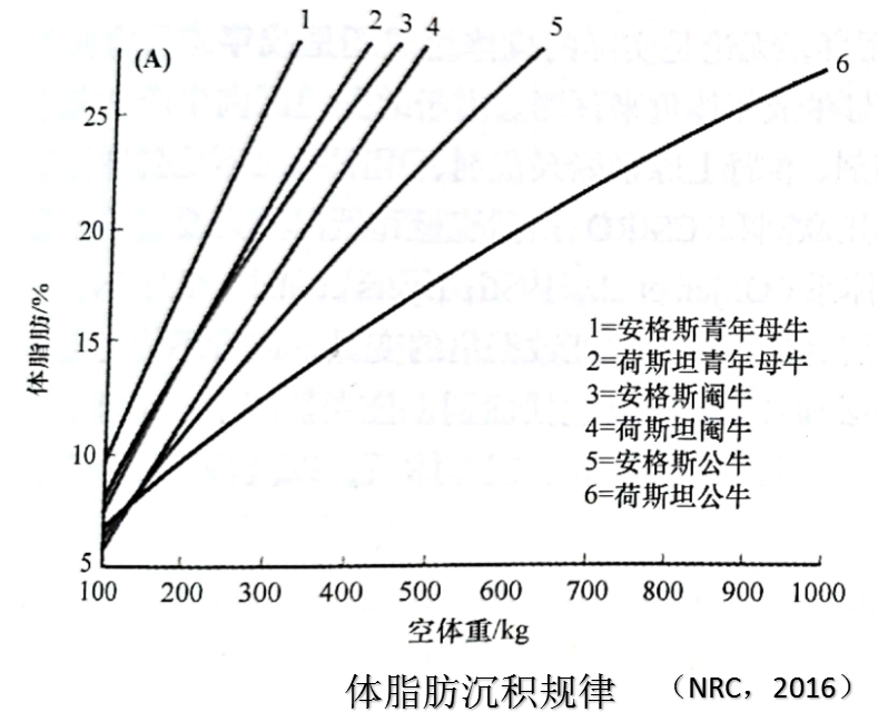苏华维:奶公犊饲养与模式实践