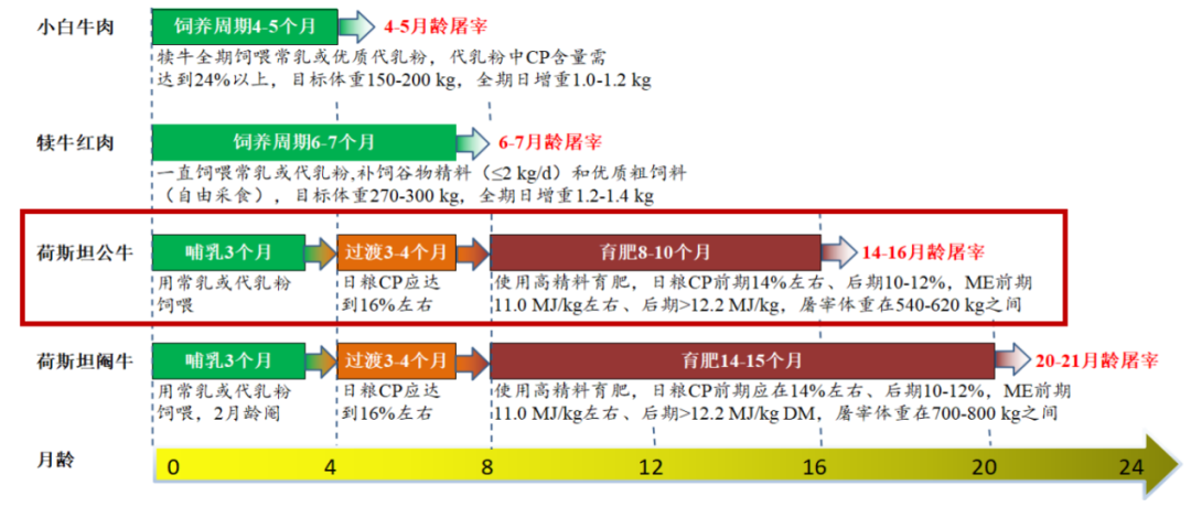 苏华维:奶公犊饲养与模式实践