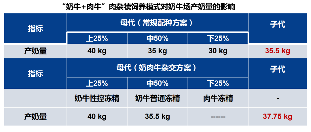 苏华维:奶公犊饲养与模式实践