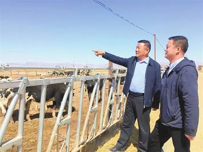 伊利：以奶业振兴助力西北乡村振兴